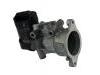 AGR-Ventil Egr Valve:1436390